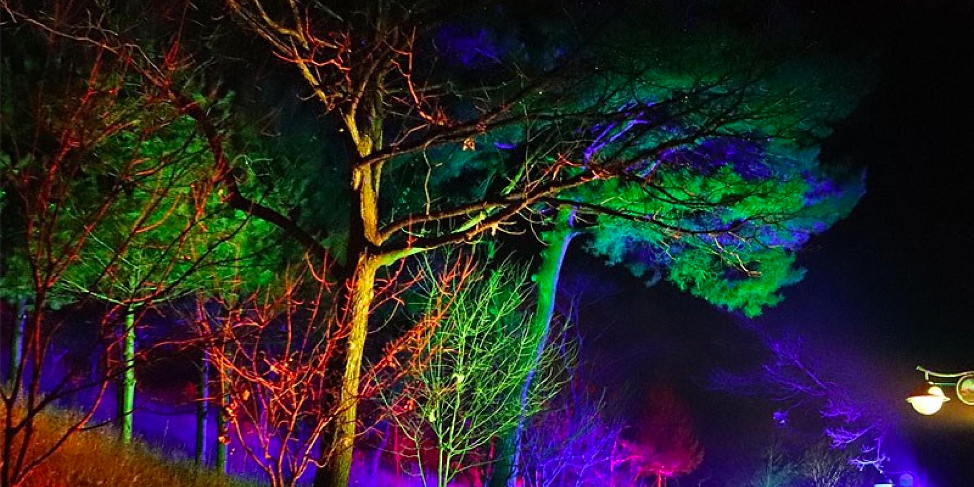 Trees, those majestic guardians of the earth, stand as silent witnesses to the passing of time. Such a spectacle isn't merely an artistic endeavor but a transformative experience that breathes new life into the nocturnal canvas of our world. You can fulfill your creative vision with these luminaires from our favorite manufacturers.
